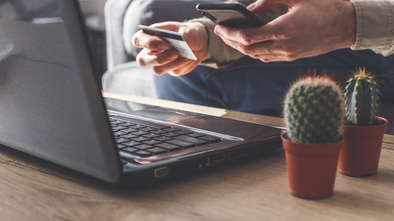 Online payment with smartphone or laptop