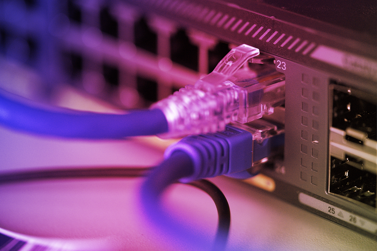 Close up port RJ45 connect switch device. Network connection con
